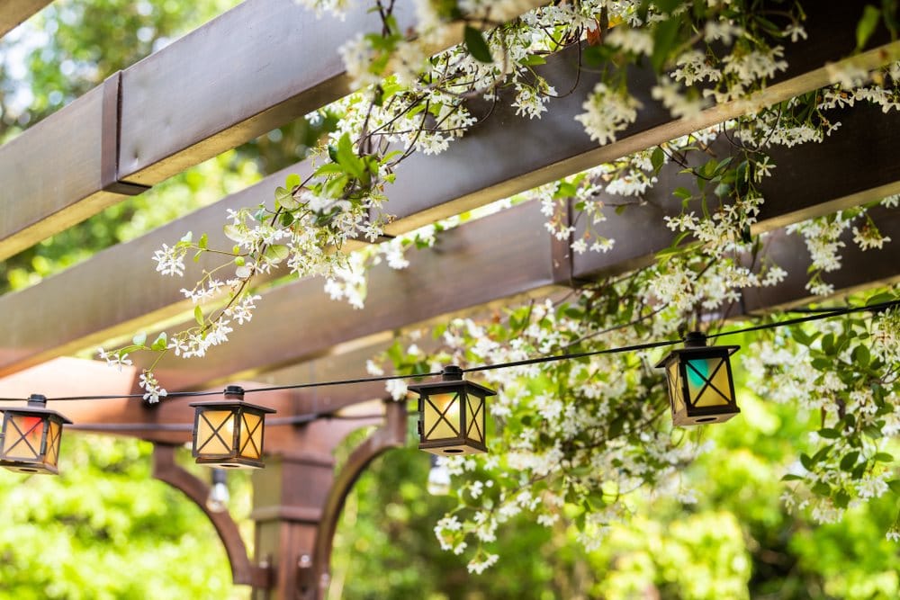 String lighting for a pergola