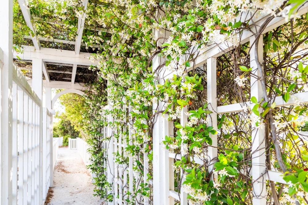 Garden white louvers roof with integrated garden - Pergola Trends and Pergola Designs - Pergola builder California